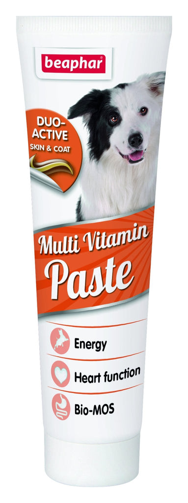 Beaphar Duo Active Paste Multivitamin for Dogs - PetHubb - BE17034