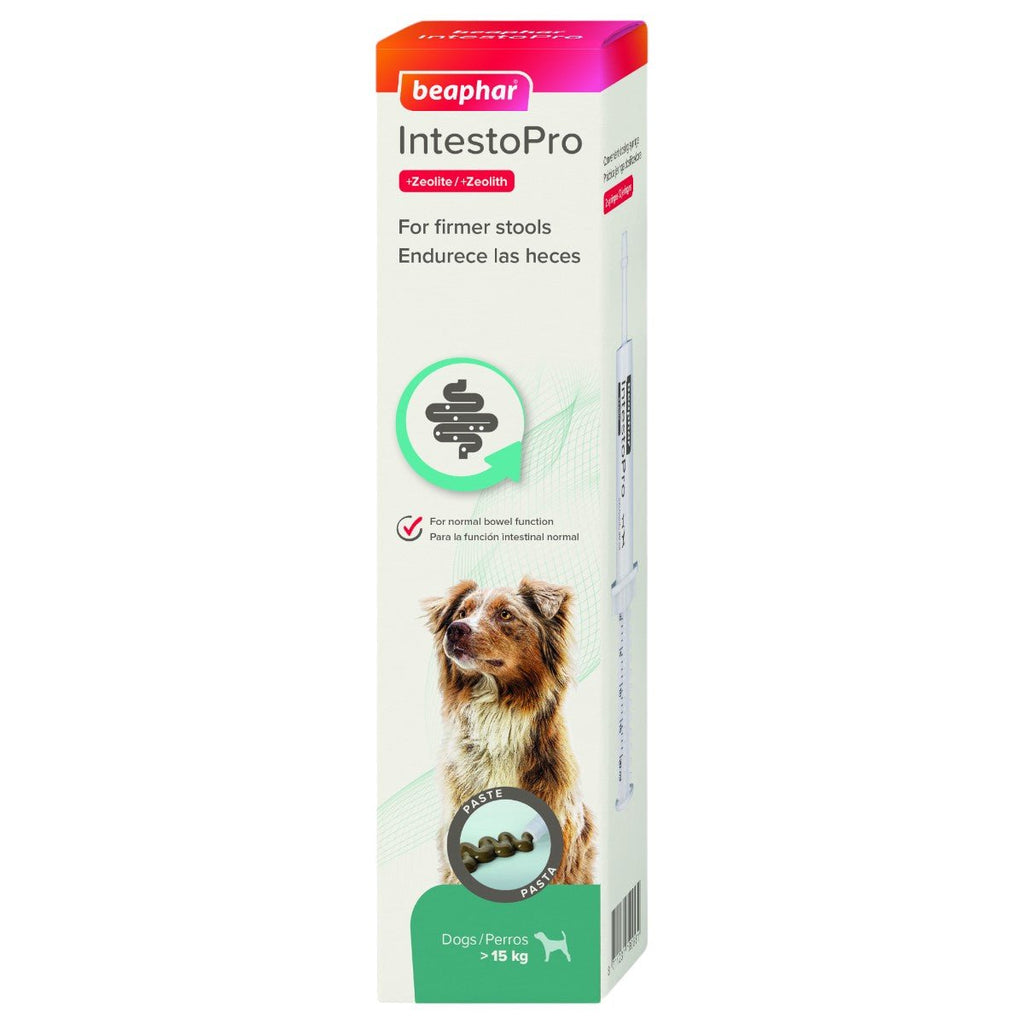 Beaphar IntestoPro Anti Diarrhea Paste Syringe for Large Dogs - PetHubb - BE19088