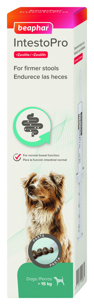 Beaphar IntestoPro Anti Diarrhea Paste Syringe for Large Dogs - PetHubb - BE19088