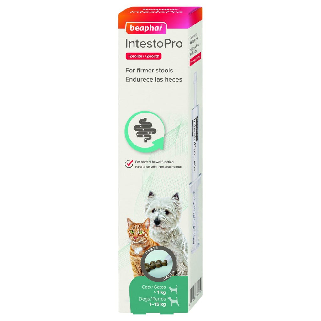 Beaphar IntestoPro Anti Diarrhea Paste Syringe for Small Dogs & Cats - PetHubb - BE19087