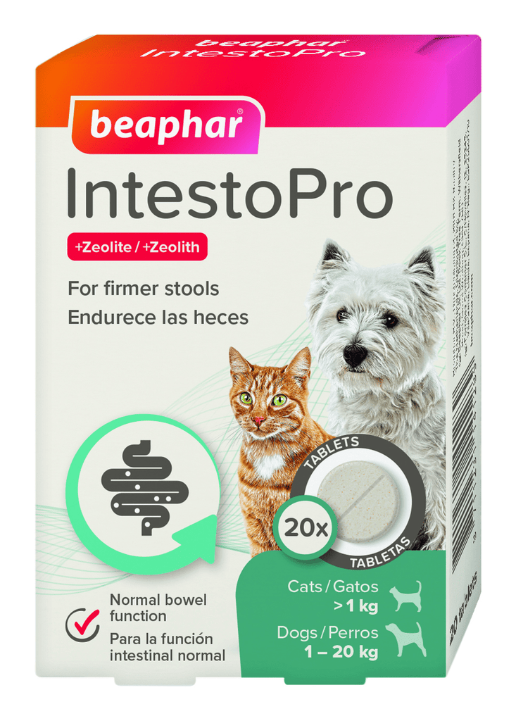 Beaphar IntestoPro Anti Diarrhea Tablet Small Dog & Cat - PetHubb - BE14128