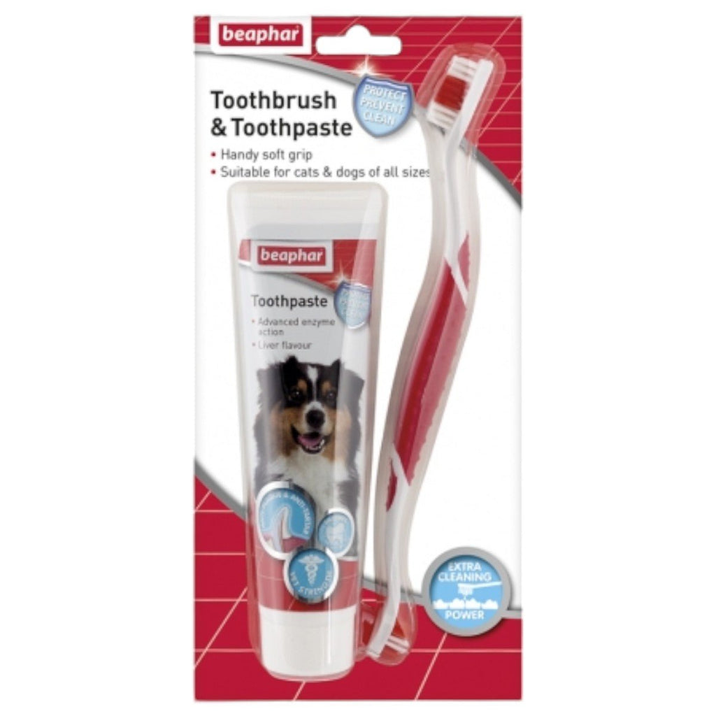 Beaphar Toothbrush & Toothpaste - PetHubb - BE15303