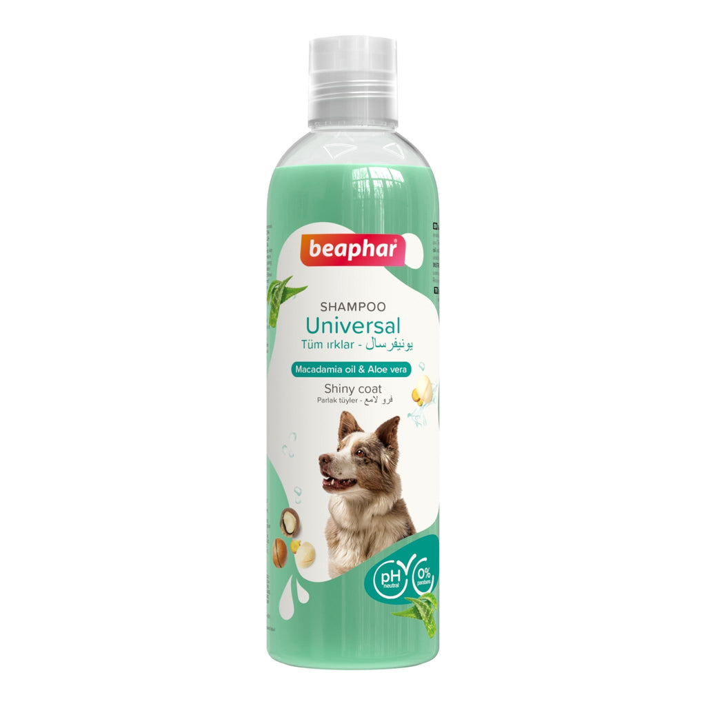 Beaphar Universal Macadamia Oil and Aloe Vera Shampoo for Dogs - PetHubb - BE19969