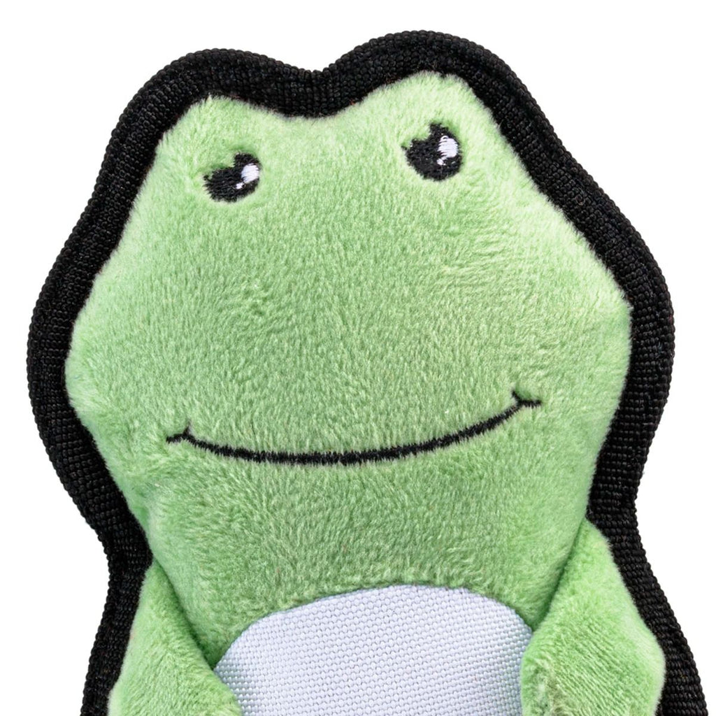 Beco Recycled Rough and Tough Frog - PetHubb - BTT - 756 - FROG