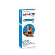 Bravecto Spot - On Flea and Tick Infestations for Cats 0.89ml (>2.8 - 6.25kg) - PetHubb - 164298