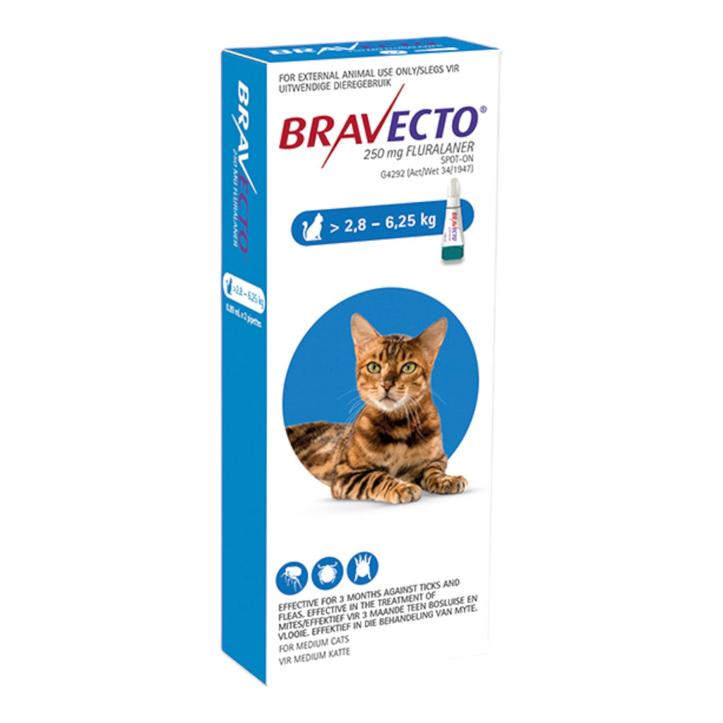 Bravecto Spot - On Flea and Tick Infestations for Cats 0.89ml (>2.8 - 6.25kg) - PetHubb - 164298