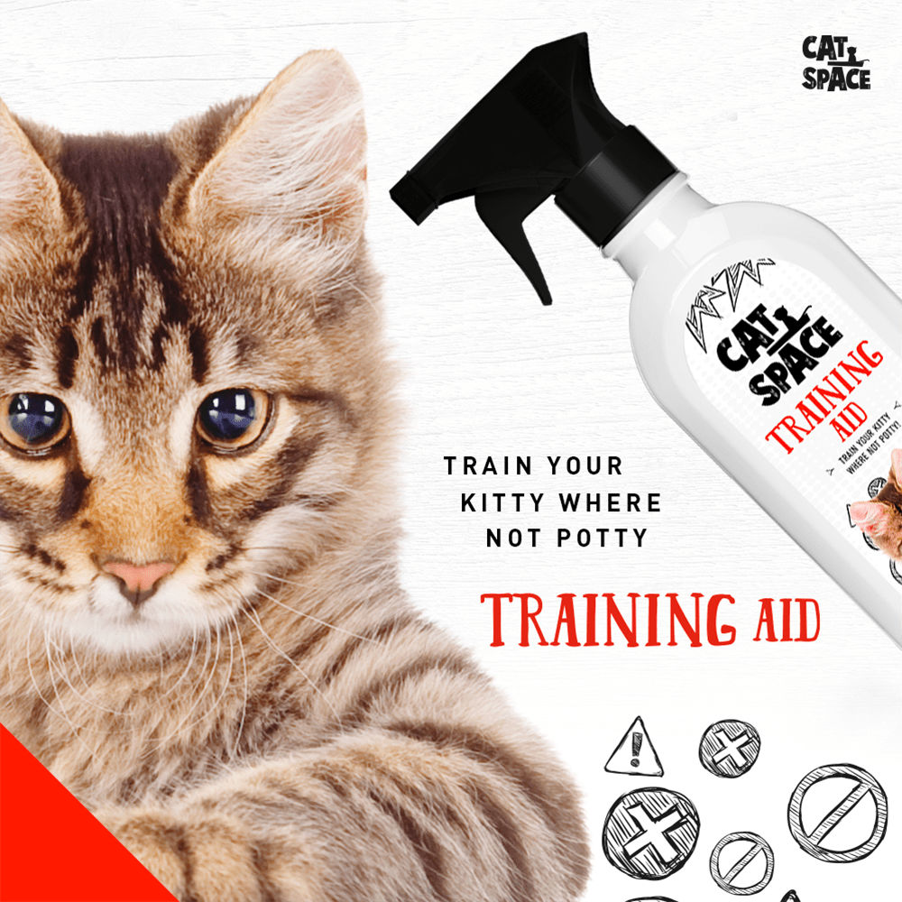 Cat Space Training Aid Spray - PetHubb - 810023510550