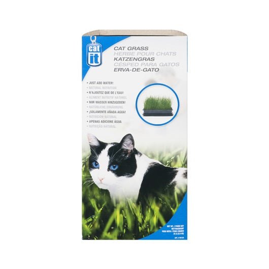 Catit Catit Cat Grass - PetHubb - HA50128