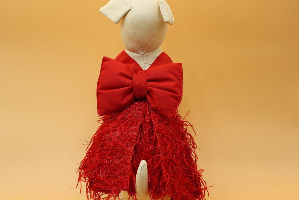 Fancy Red Dress - PetHubb - ZG - FRD - 1