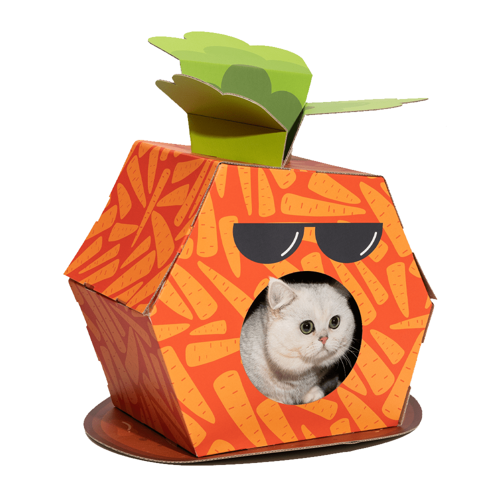 FOFOS Carrot Cardboard Cat House with Scratching Pad - PetHubb - 6971067407030