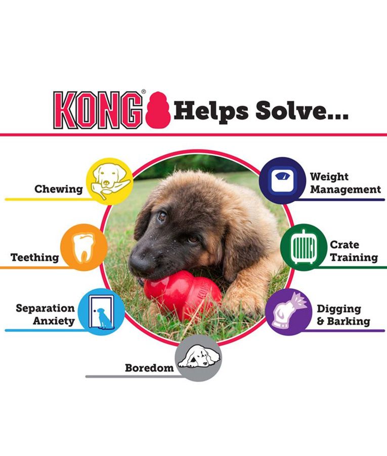 Kong Classic Dog Toy - PetHubb - 302022 - Small