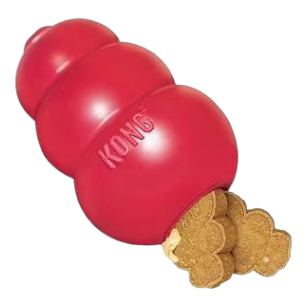 Kong Classic Dog Toy - PetHubb - 302022 - Small