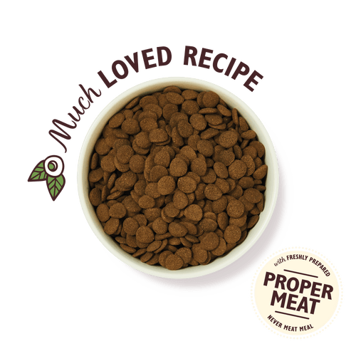 Lily's Kitchen Adult Shepherd's Pie With Lamb Potatoes & Parsley Adult Dry Dog Food - PetHubb - 101154 - 1