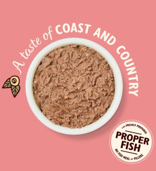 Lily's Kitchen Salmon & Chicken Pate Wet Cat Food - PetHubb - 101196 - 1