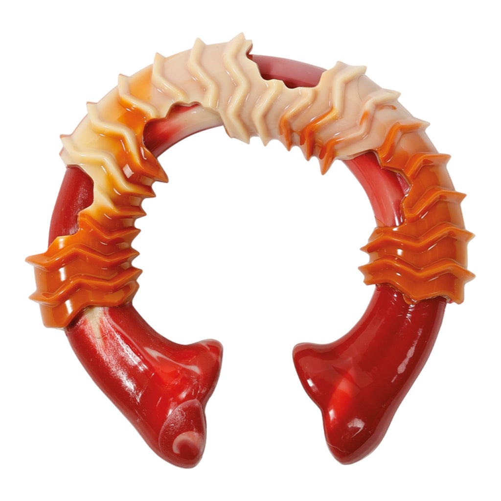 M - Pets Carnivore Ring Bone Dog Toy - PetHubb - 6953182725794