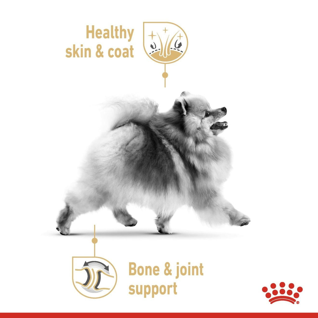 Royal Canin Adult Pomeranian Wet Dog Food - PetHubb - RO285110