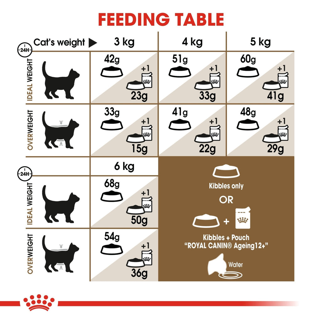 Royal Canin Ageing 12+ Dry Cat Food - PetHubb - RO226990