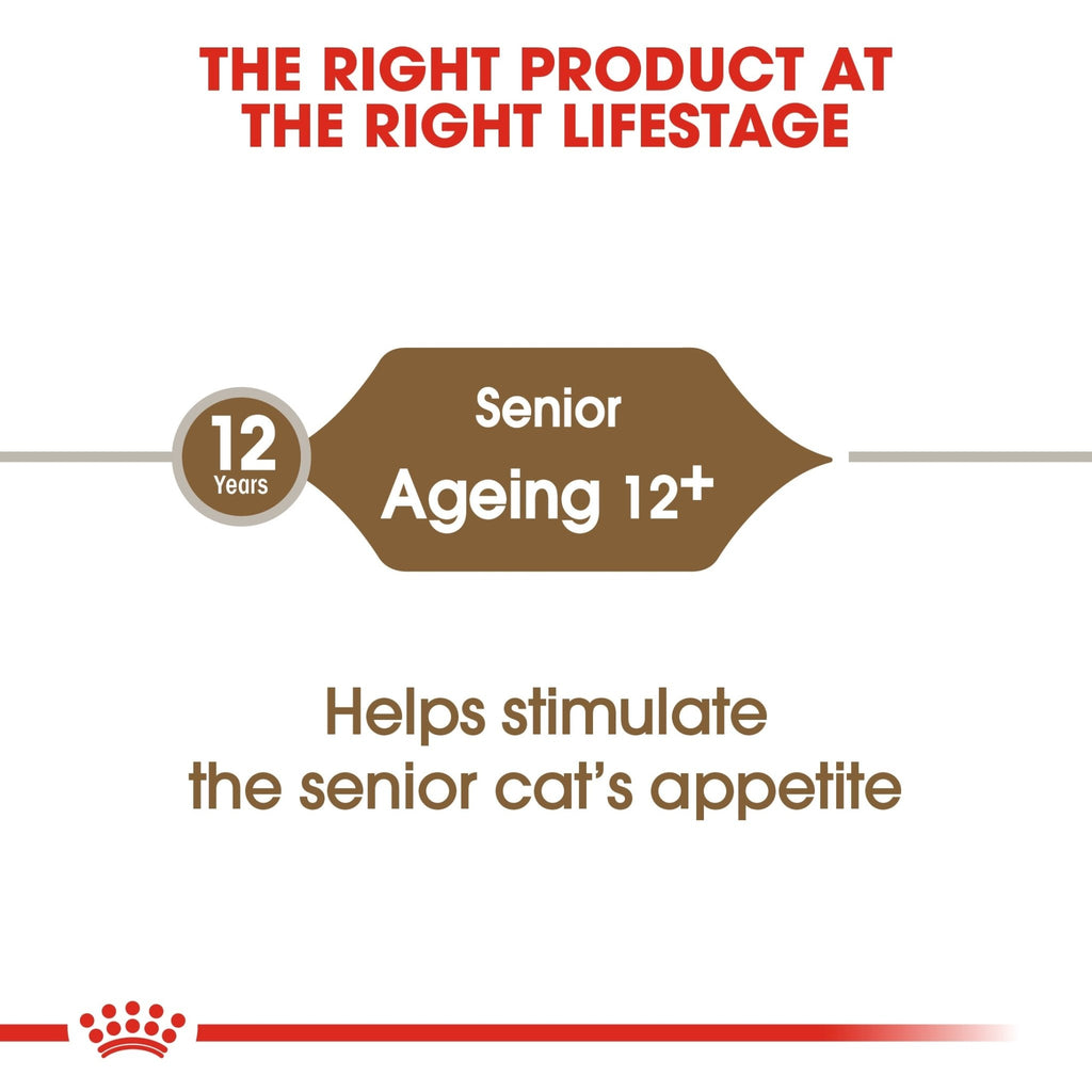 Royal Canin Ageing 12+ Dry Cat Food - PetHubb - RO226990