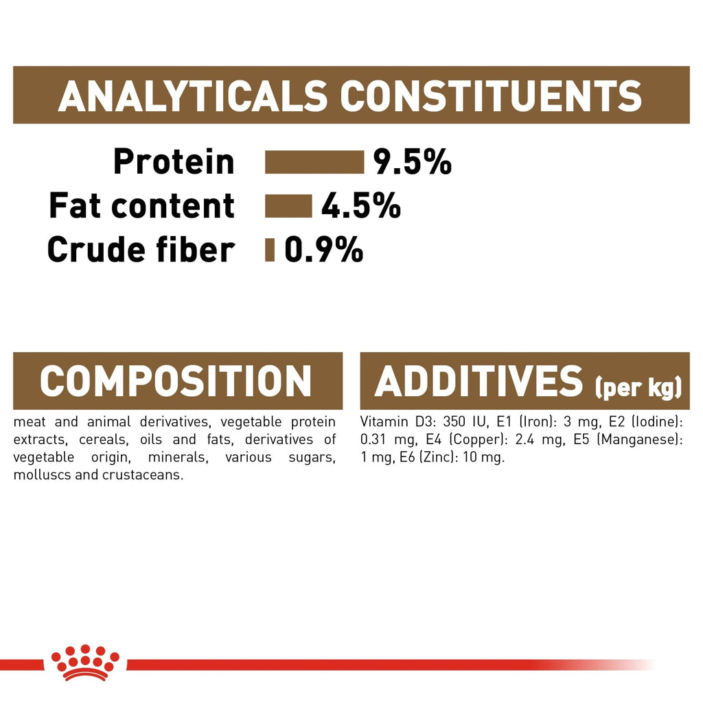 Royal Canin Ageing 12+ In Jelly Wet Cat Food - PetHubb - RO237610