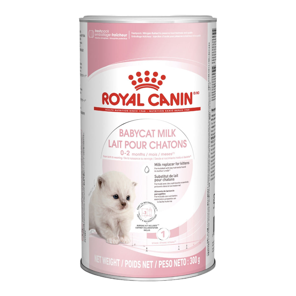 Royal Canin Babycat Milk Powder - PetHubb - RO273630