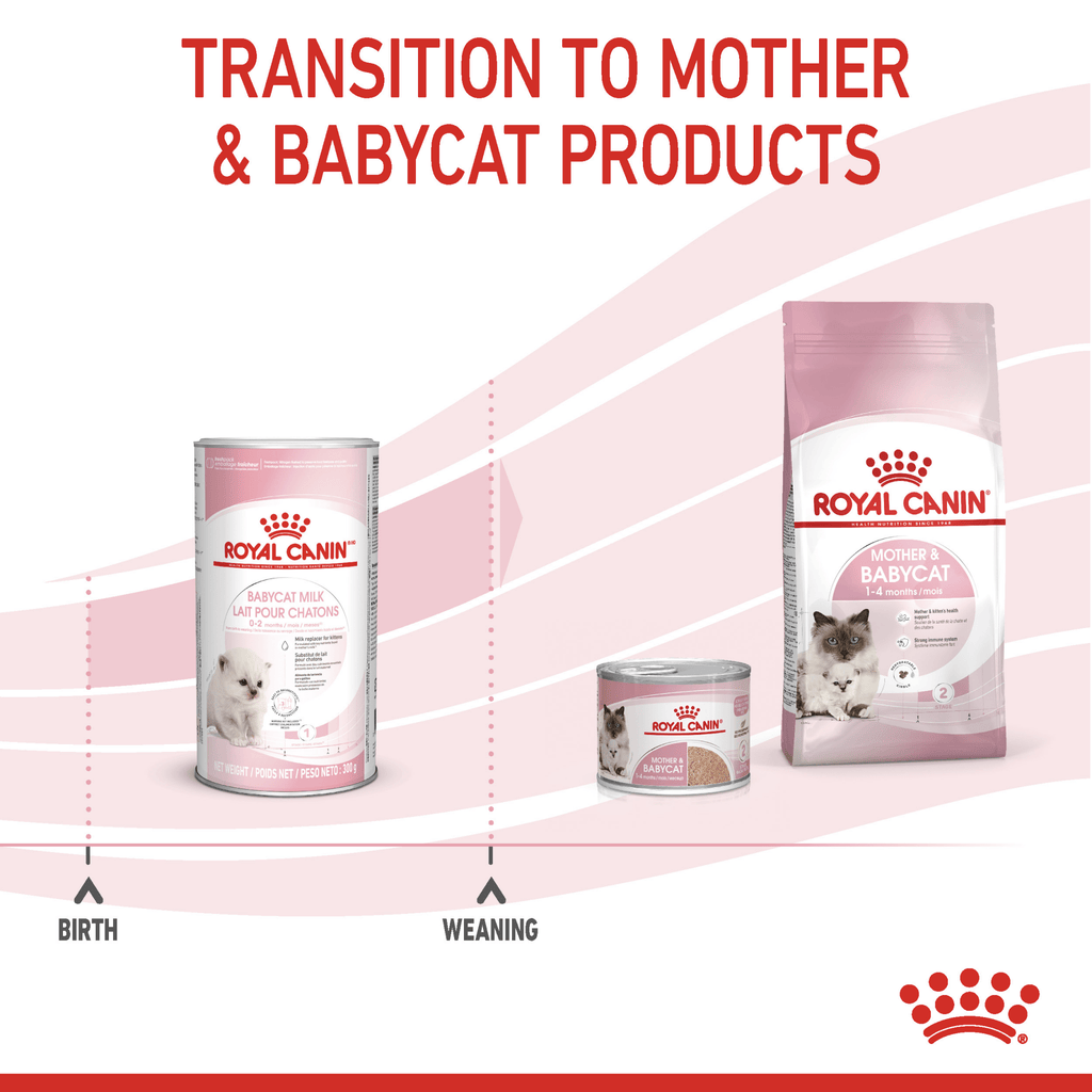 Royal Canin Babycat Milk Powder - PetHubb - RO273630