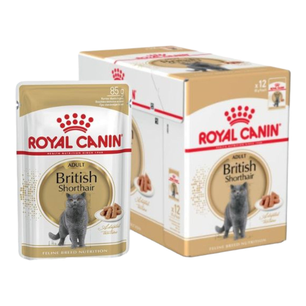 Royal Canin British Shorthair Adult Wet Cat Food - PetHubb - RO240810