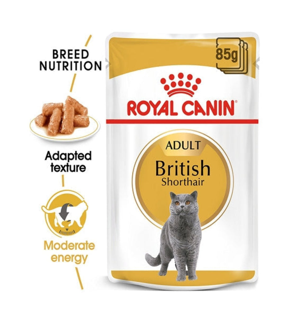 Royal Canin British Shorthair Adult Wet Cat Food - PetHubb - RO240810