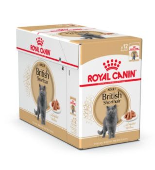 Royal Canin British Shorthair Adult Wet Cat Food - PetHubb - RO240810