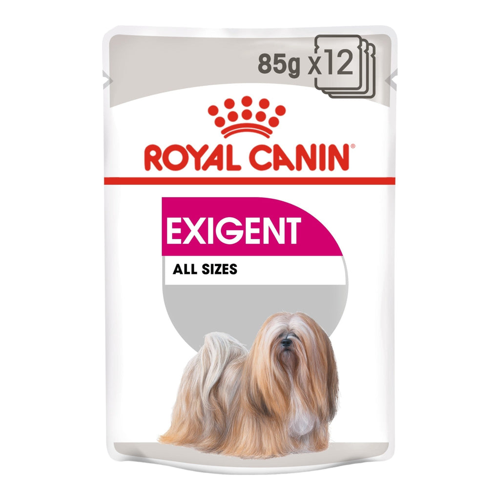 Royal Canin Care Nutrition Exigent Wet Dog Food - PetHubb - RO270430