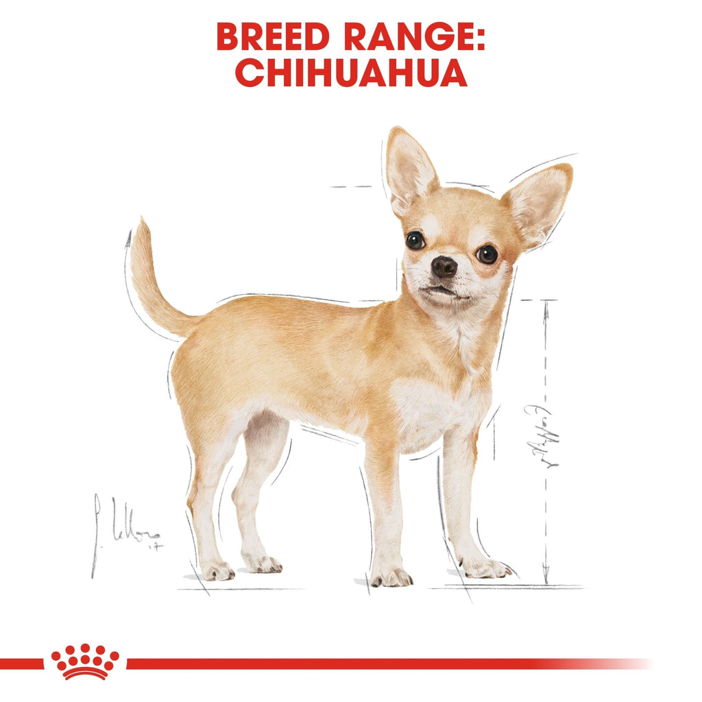 Royal Canin Chihuahua Adult Wet Dog Food - PetHubb - RO267130