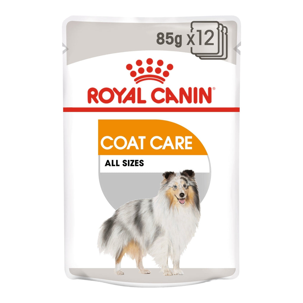 Royal Canin Coat Care Wet Dog Food - PetHubb - RO270420