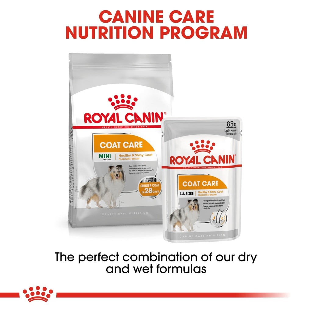 Royal Canin Coat Care Wet Dog Food - PetHubb - RO270420