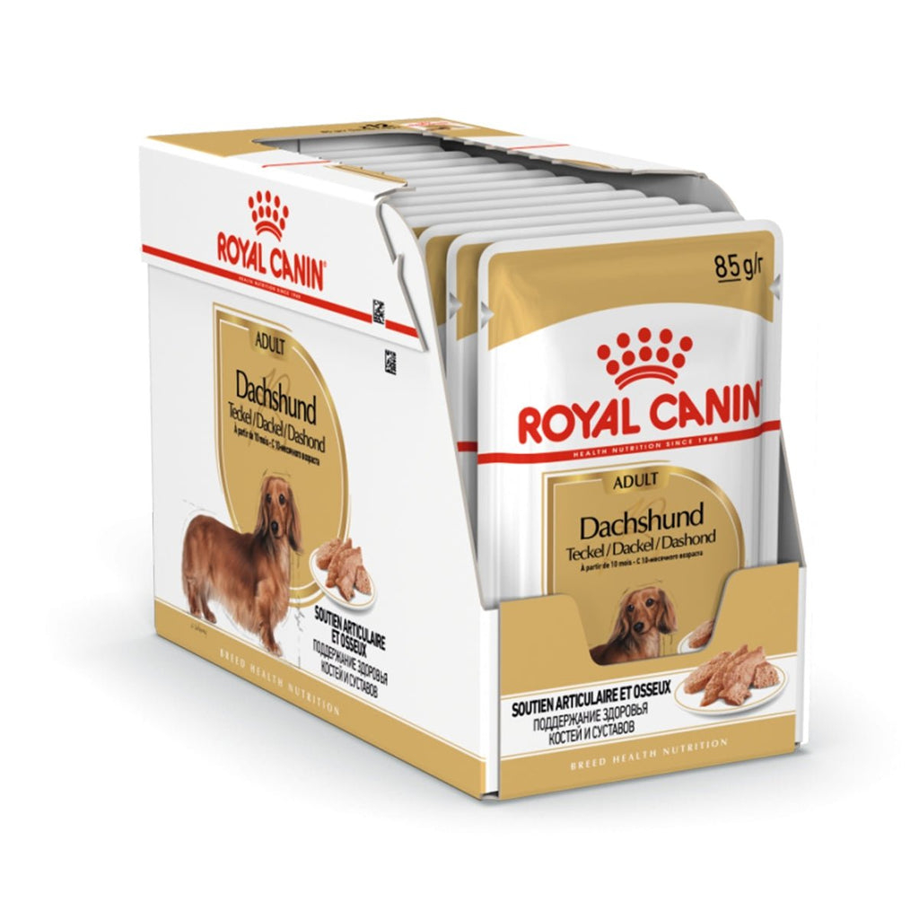 Royal Canin Dachshund Adult Wet Dog Food - PetHubb - RO267250