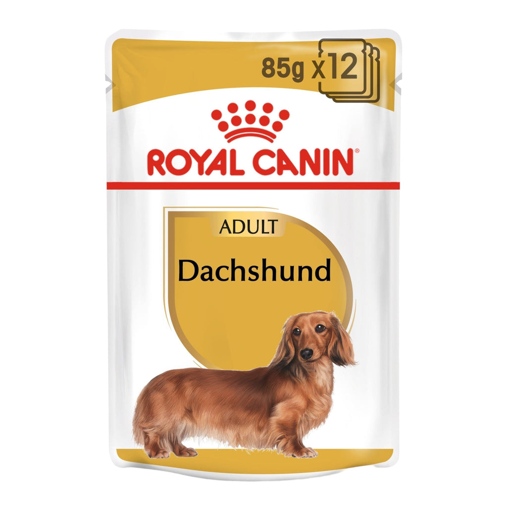 Royal Canin Dachshund Adult Wet Dog Food - PetHubb - RO267250