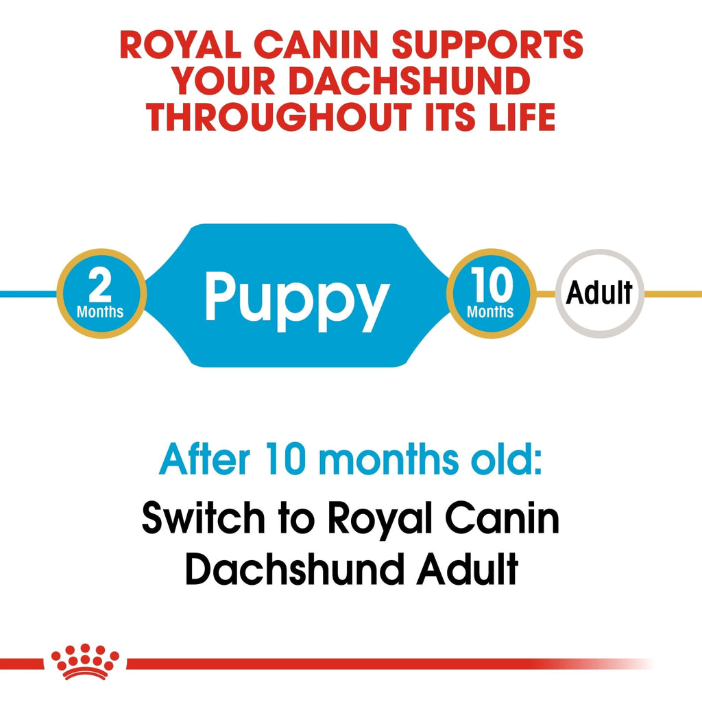 Royal Canin Dachshund Puppy Dry Food - PetHubb - RO270980