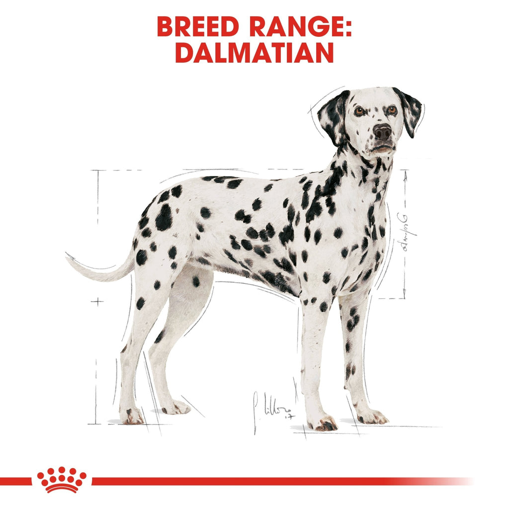 Royal Canin Dalmatian Adult Dry Dog Food - PetHubb - RO277560