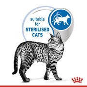 Royal Canin Feline Health Nutrition Indoor Wet cat Food - PetHubb - RO288010