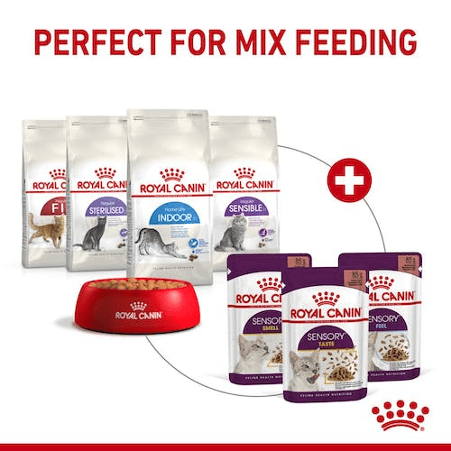 Royal Canin Feline Health Nutrition Sensory Feel Gravy Wet Cat Food - PetHubb - RO303460