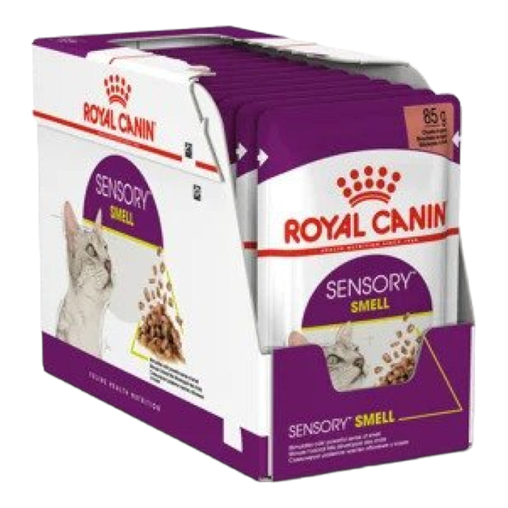 Royal Canin Feline Health Nutrition Sensory Smell Gravy Wet Cat Food - PetHubb - RO303370