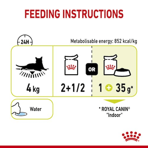 Royal Canin Feline Health Nutrition Sensory Smell Gravy Wet Cat Food - PetHubb - RO303370