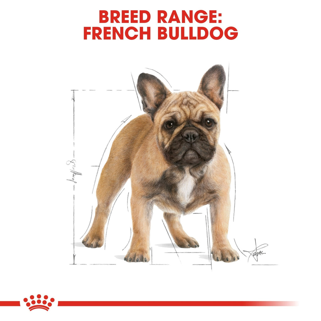 Royal Canin French Bulldog Adult Dry Dog Food - PetHubb - RO255220