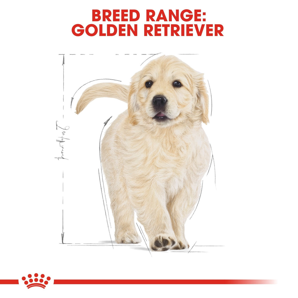 Royal Canin Golden Retriever Puppy Dry Food - PetHubb - RO266460