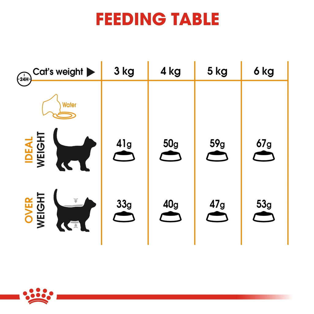 Royal Canin Hair & Skin Adult Dry Cat Food - PetHubb - RO241690