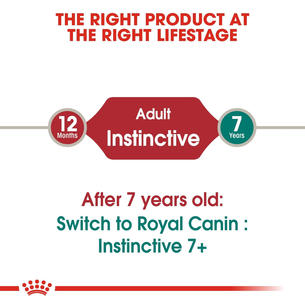 Royal Canin Instinctive Adult In Jelly Wet Cat Food - PetHubb - RO237560