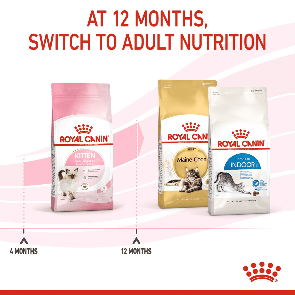 Royal Canin Kitten Dry Food - PetHubb - RO306360