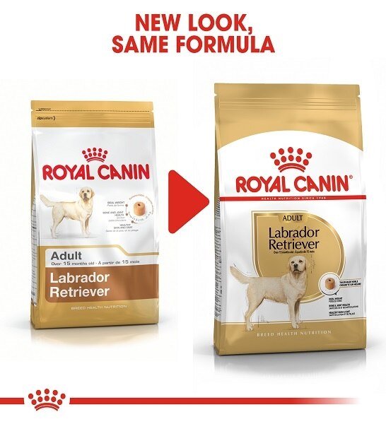 Royal Canin Labrador Retriever Adult Dry Dog Food - PetHubb - RO255500