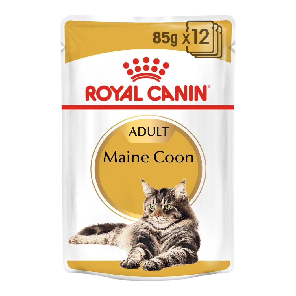 Royal Canin Maine Coon Adult Wet Cat Food - PetHubb - RO240790