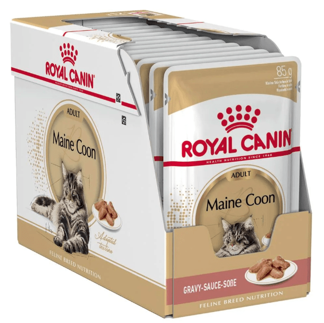 Royal Canin Maine Coon Adult Wet Cat Food - PetHubb - RO240790