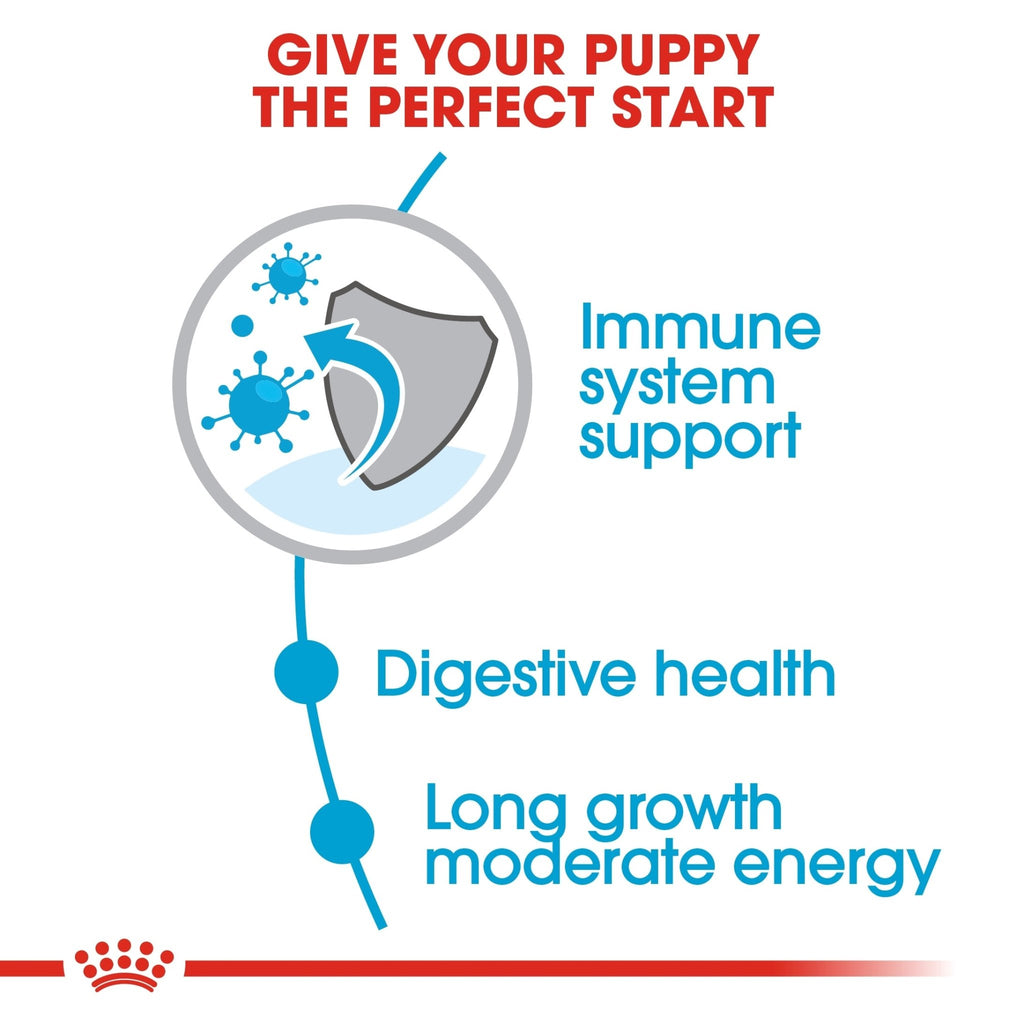 Royal Canin Maxi Puppy Dry Food - PetHubb - RO307240