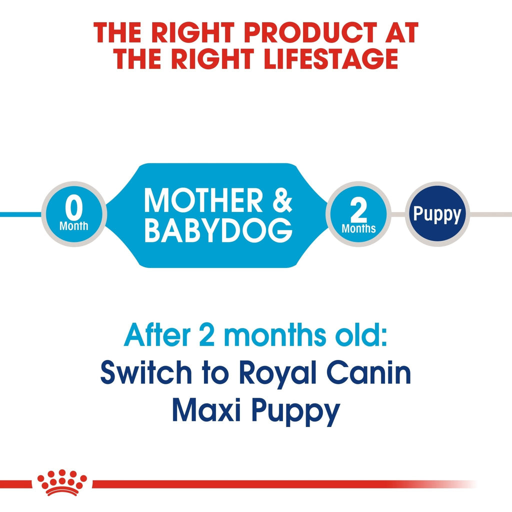 Royal Canin Maxi Starter Mother & Babydog Dry Food - PetHubb - RO314290